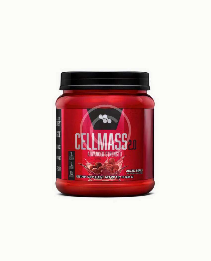 Advanced mass gainer